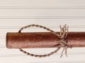 Rustic Kitchen Broom - Straight Poplar Branch - One Only - Free Shipping