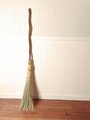 Contorted Besom Broom - Western Hazel - One Only - Free Shipping 