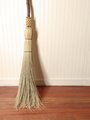 Contorted Besom Broom - Western Hazel - One Only - Free Shipping 