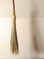 Contorted Besom Broom - Western Hazel - One Only - Free Shipping 