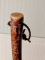 Contorted Besom Broom - Western Hazel - One Only - Free Shipping 