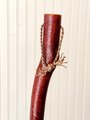 Contorted Alder Besom - Mountain Alder - One Only - Free Shipping