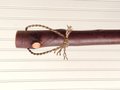 Knotty Birch Besom - Red Birch Branch - One Only - Free Shipping