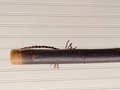 Mountain Porch Broom - Quaking Aspen - One Only - Free Shipping
