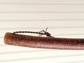 Mountain Porch Broom - Western Hazel Branch - One Only - Free Shipping