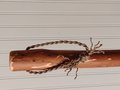 Mountain Porch Broom - Tamarack Broomstick - One Only - Free Shipping