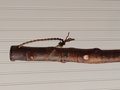 Mountain Porch Broom - Quaking Aspen Branch - One Only - Free Shipping