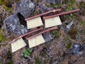 Woodland Hand Brush - Western Hazel Branch - One Only - Made in Our Shop