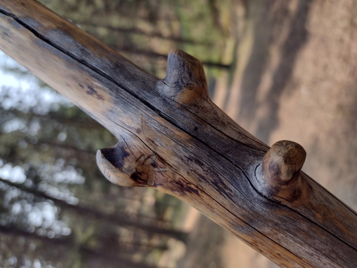 Rustic Branch Besom - "The Snag" - Knotty Pine Branch - One Only - Free Shipping