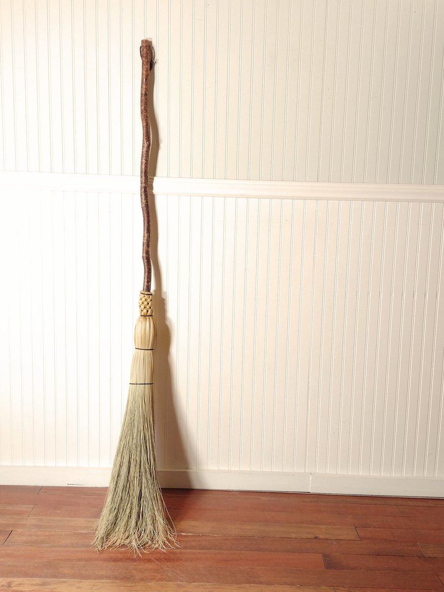 Contorted Besom Broom - Western Hazel - One Only - Free Shipping 