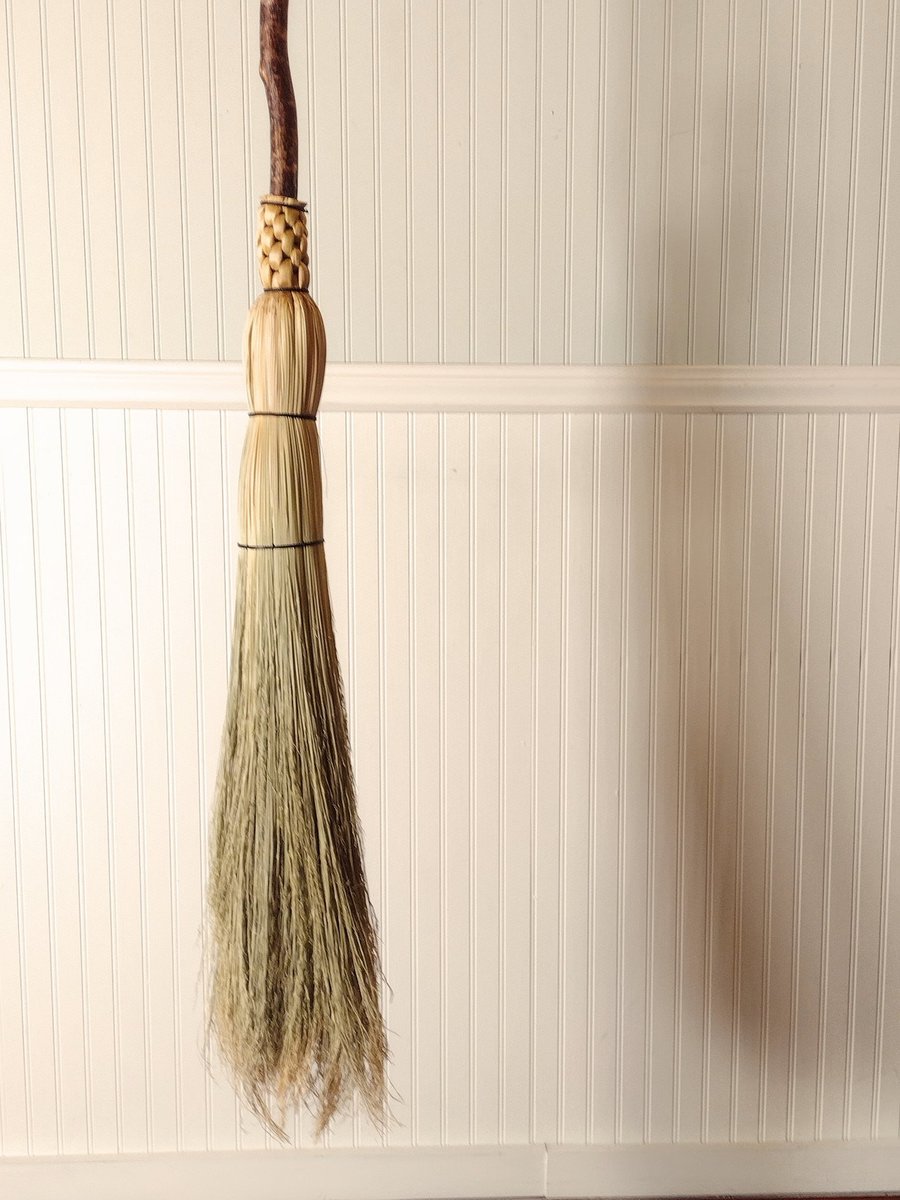 Contorted Besom Broom - Western Hazel - One Only - Free Shipping 