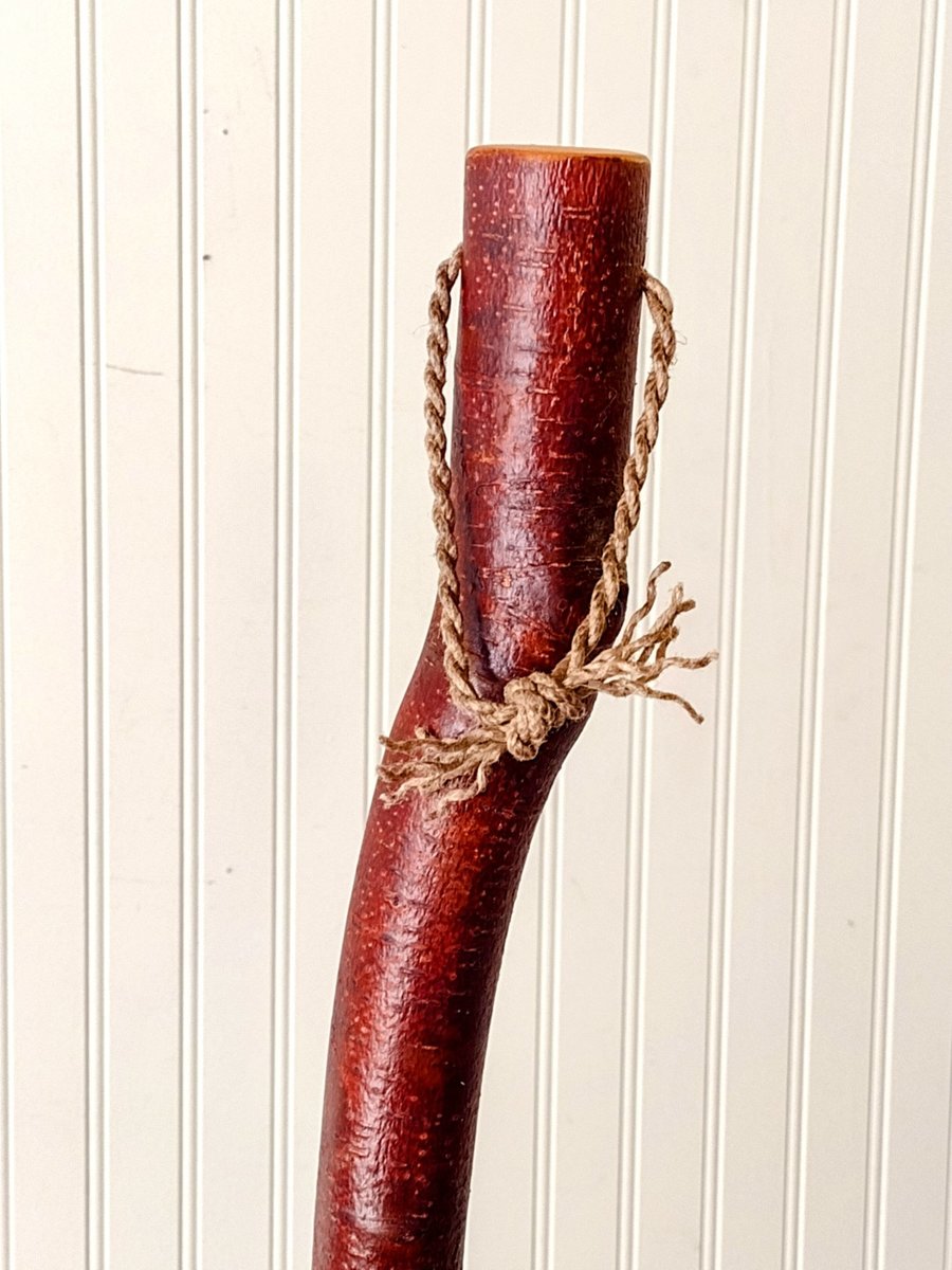 Contorted Alder Besom - Mountain Alder - One Only - Free Shipping