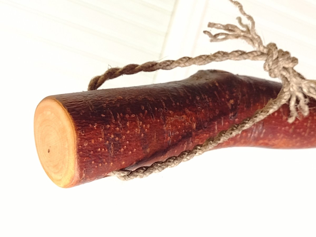 Contorted Alder Besom - Mountain Alder - One Only - Free Shipping
