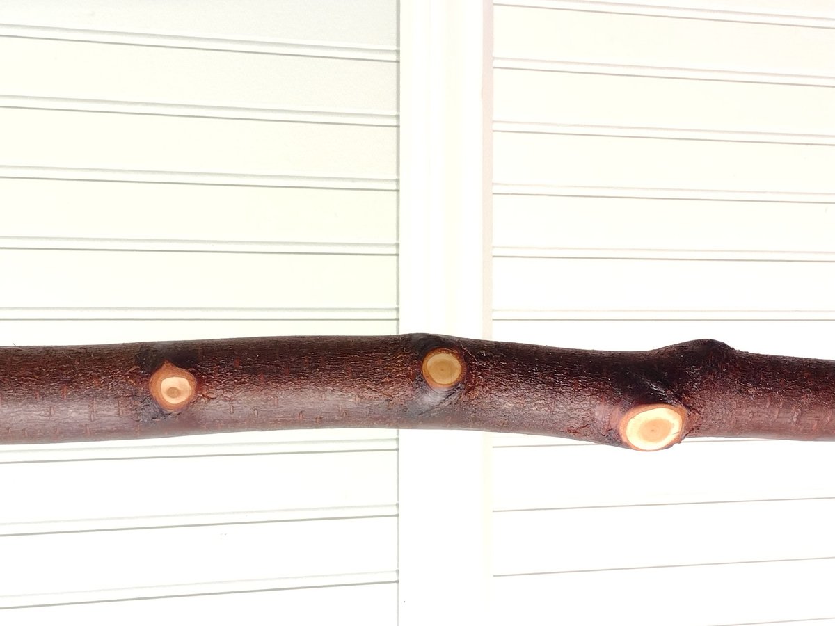 Knotty Birch Besom - Red Birch Branch - One Only - Free Shipping