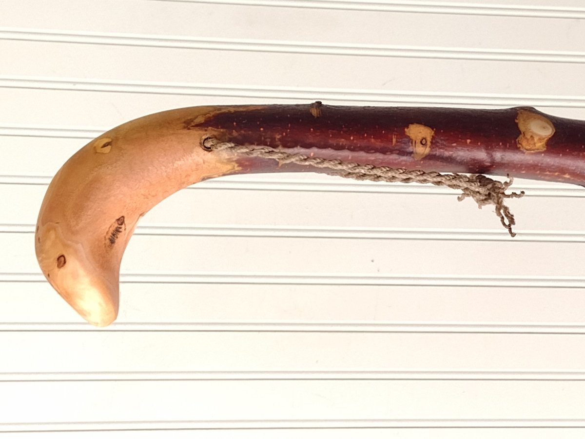 Birch Root Besom - Knotty Red Birch Root Branch - One Only - Free Shipping