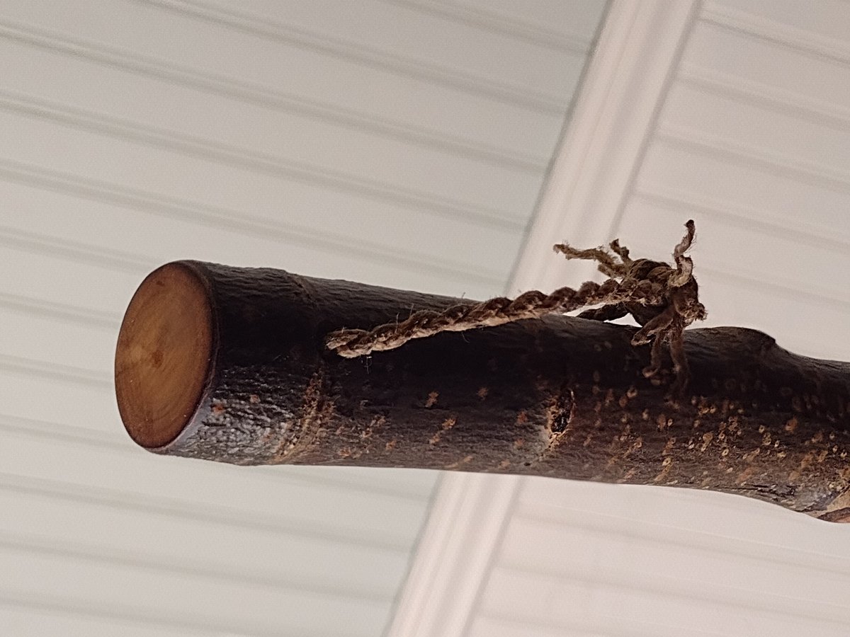 Rustic Kitchen Broom - Quaking Aspen - One Only Free Shipping