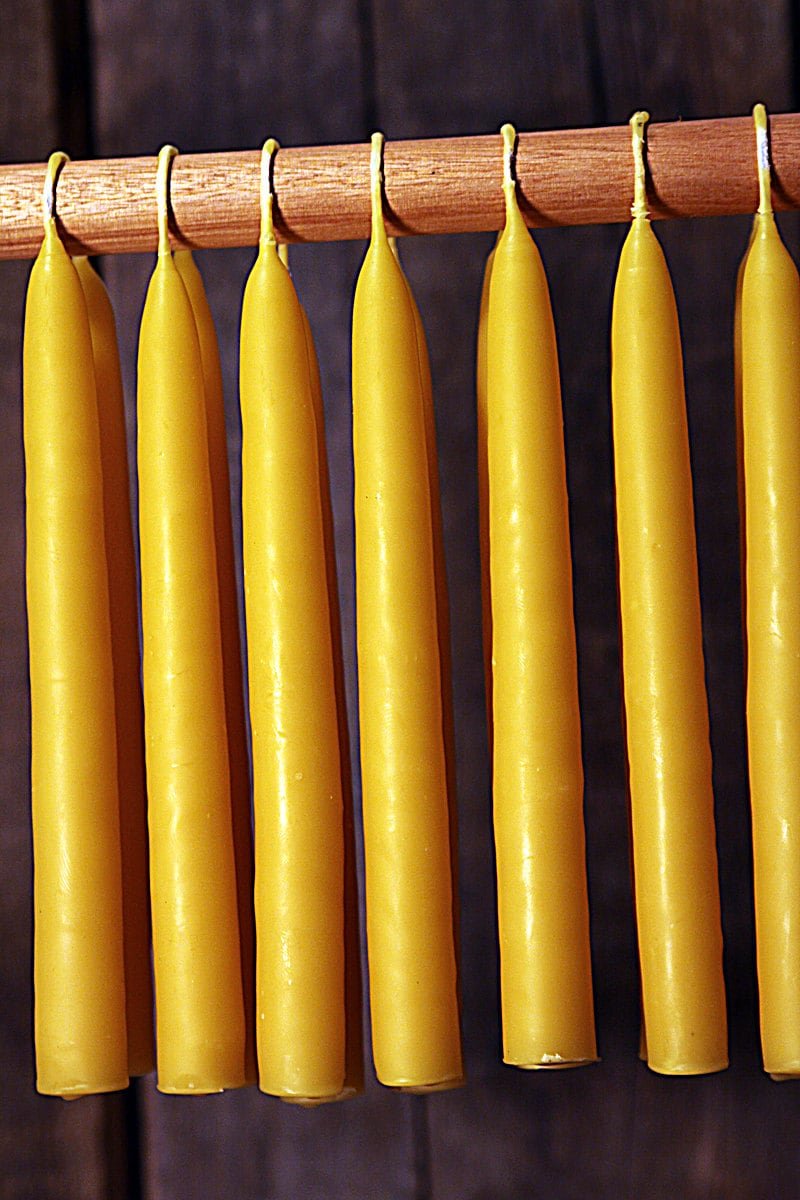 Beeswax Candles - Hand Dipped 100% Beeswax Tapers Settler's Candles - 6 Count - Free Shipping