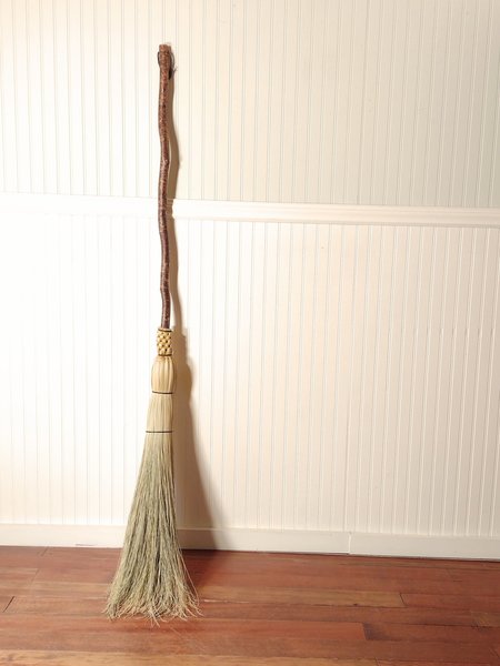 Contorted Besom Broom - Western Hazel - One Only - Free Shipping 